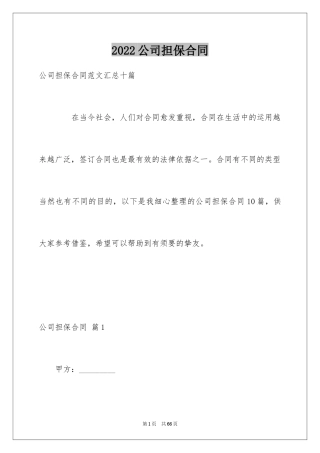 2024公司担保合同_25