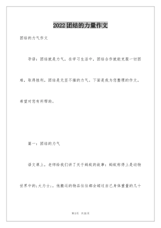 2024团结的力量作文