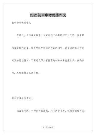 2024初中中考优秀作文_4