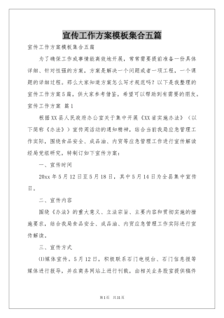 宣传工作方案模板集合五篇