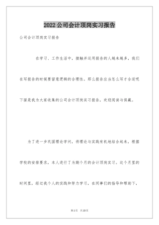 2024公司会计顶岗实习报告