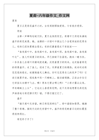 夏荷-六年级作文_作文网