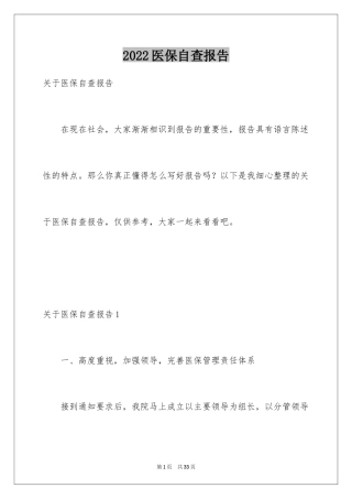 2024医保自查报告