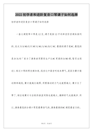 2024初学者和进阶复音口琴调子如何选择