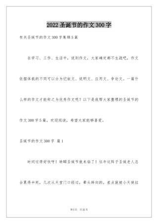 2024圣诞节的作文300字_2