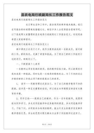 县农电局行政副局长工作报告范本