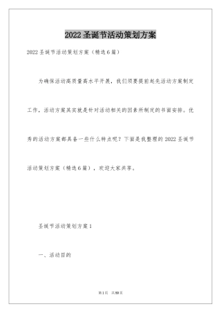 2024圣诞节活动策划方案_13