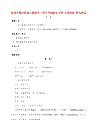 湖南省长沙县路口镇麻林中学八年级语文下册 6雪教案 新人教版