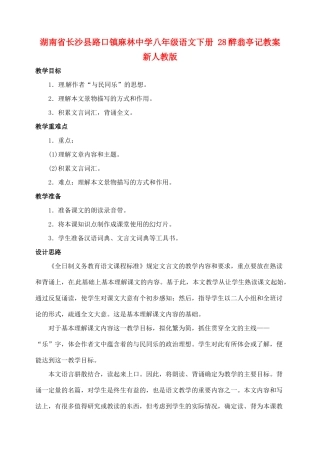 湖南省长沙县路口镇麻林中学八年级语文下册 28醉翁亭记教案 新人教版