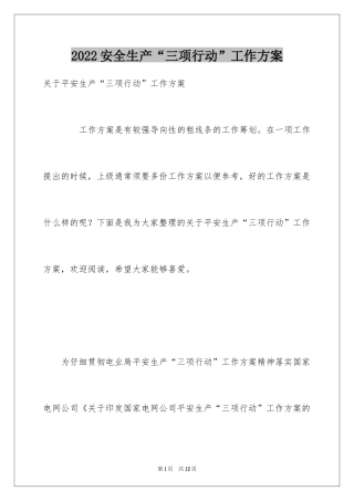 2024安全生产“三项行动”工作方案