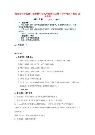 湖南省长沙县路口镇麻林中学七年级语文上册《荷叶母亲》教案 新人教版