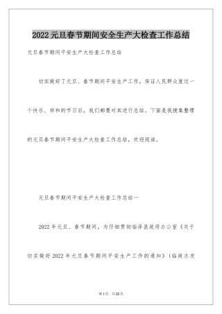 2024元旦春节期间安全生产大检查工作总结