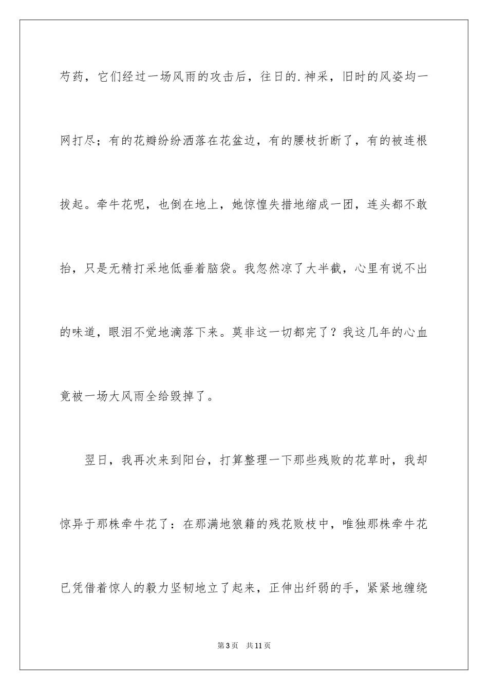 2024写状物作文_381_第3页