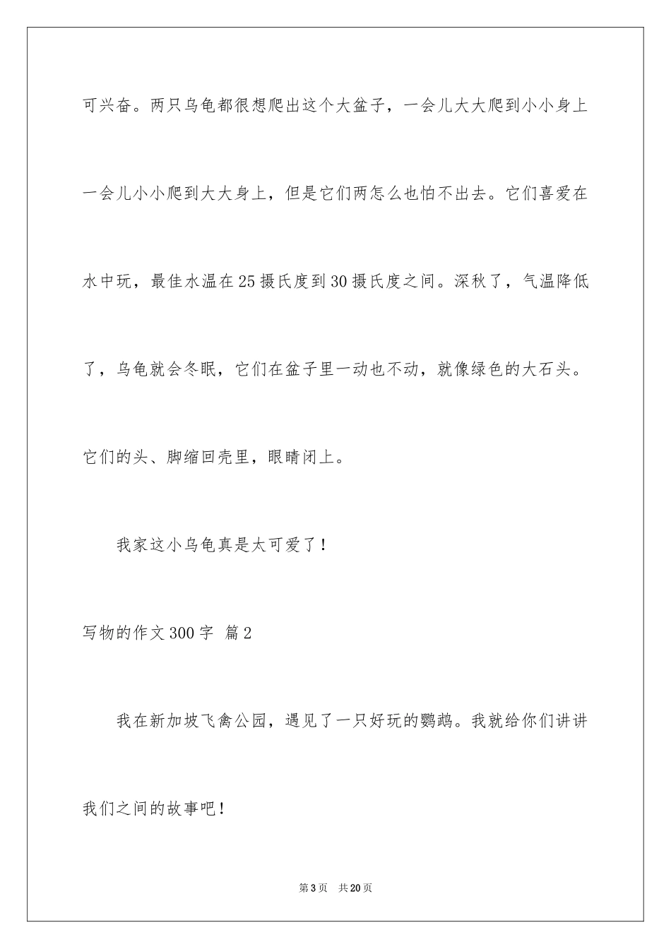 2024写物的作文300字_32_第3页