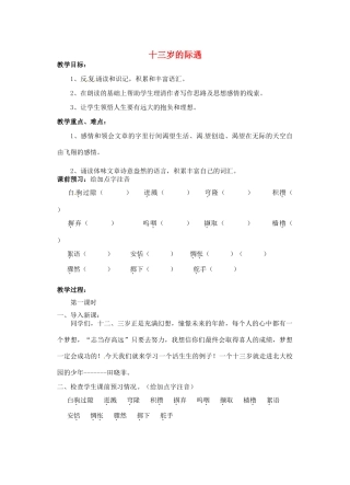 江苏省洪泽外国语中学七年级语文上册 十三岁的际遇教案 新人教版