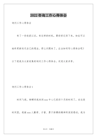 2024咨询工作心得体会