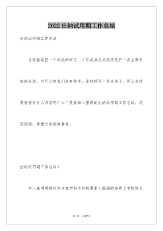 2024出纳试用期工作总结_25