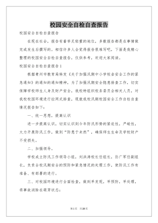 校园安全自检自查报告