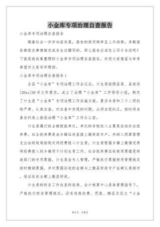 小金库专项治理自查报告