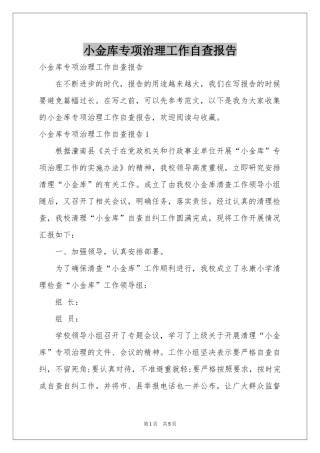 小金库专项治理工作自查报告