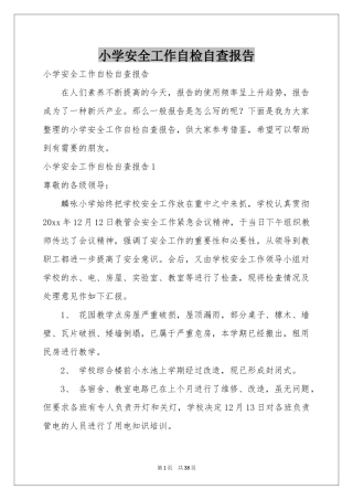 小学安全工作自检自查报告