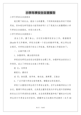 小学冬季安全自查报告
