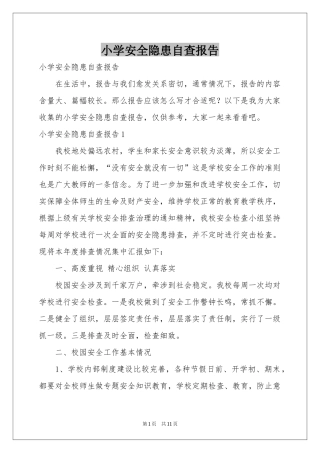 小学安全隐患自查报告