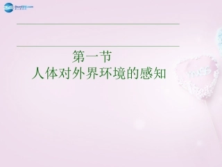 山东省泰安新泰市七年级生物下册 6.1 人体对外界环境的感知—眼和视觉课件2 新人教版