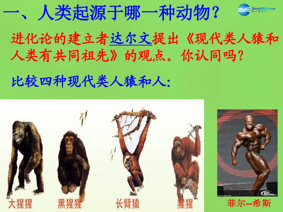 山东省新泰市青云街道第一初级中学七年级生物下册 4.1.1 人类的起源和发展课件 新人教版_第2页