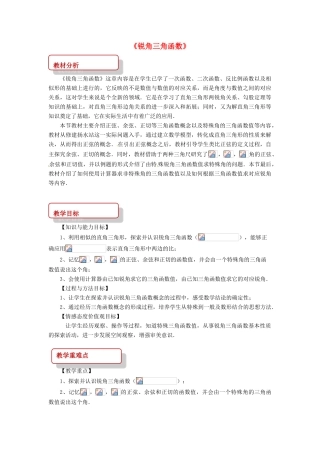 九年级数学下册 第二十八章 锐角三角函数 28.1 锐角三角函数教案 （新版）新人教版-（新版）新人教版初中九年级下册数学教案