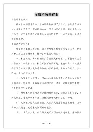 乡镇消防责任书