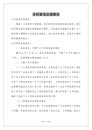 乡村家电自查报告