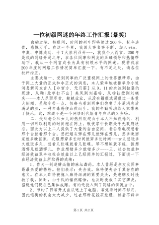 一位初级网迷的年终工作汇报(暴笑)