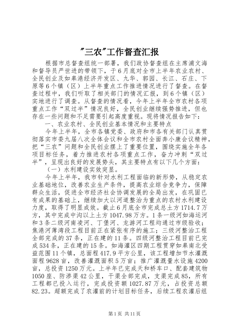 -三农-工作督查汇报_第1页