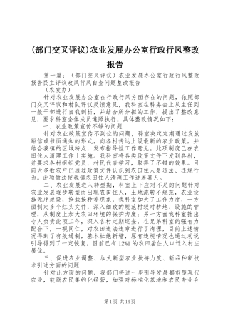(部门交叉评议)农业发展办公室行政行风整改报告