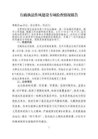 行政执法专项检查情况报告（定）