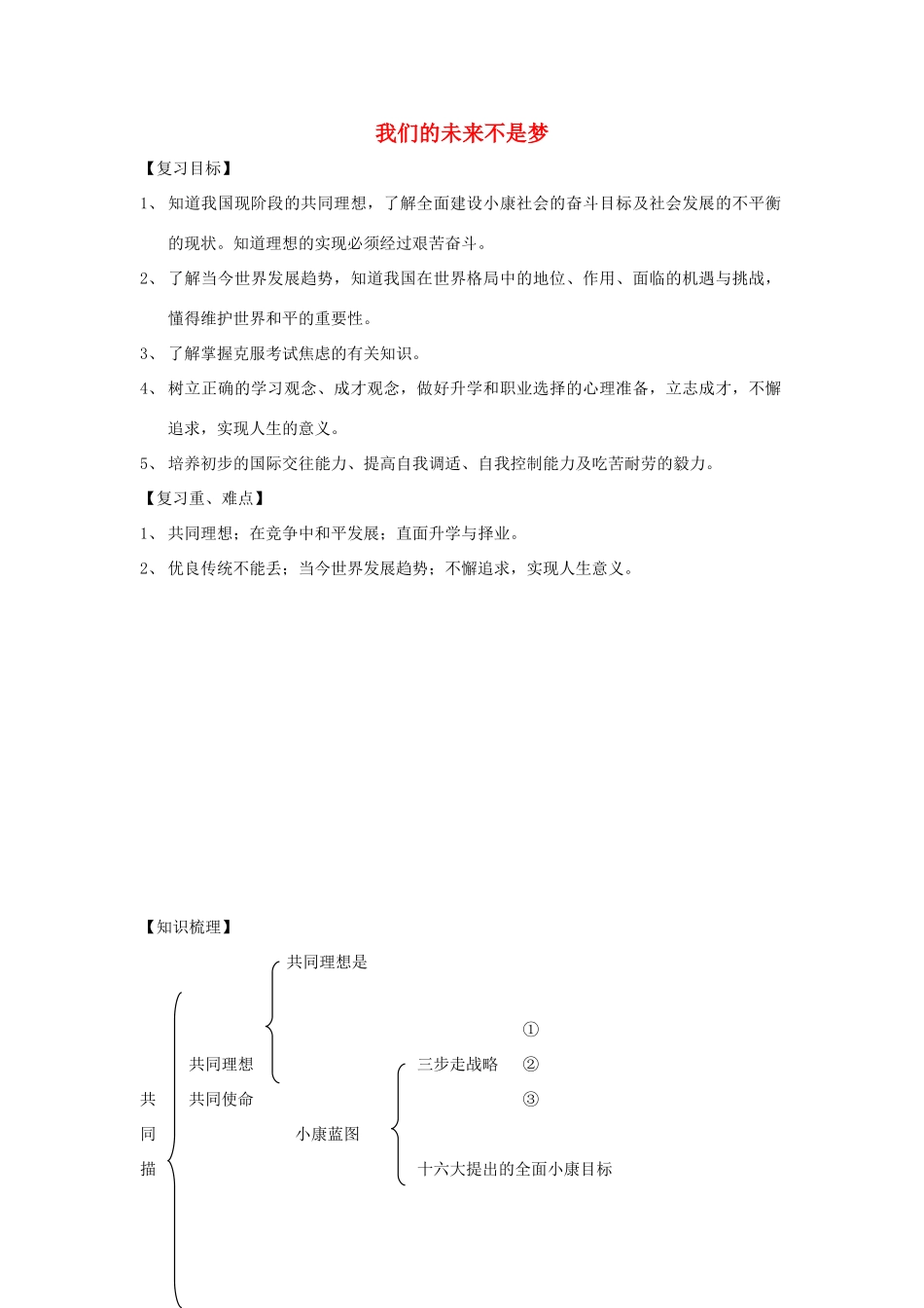 山东省滕州市大坞镇大坞中学九年级政治全册《我们的未来不是梦》复习教学设计 人民版教材_第1页