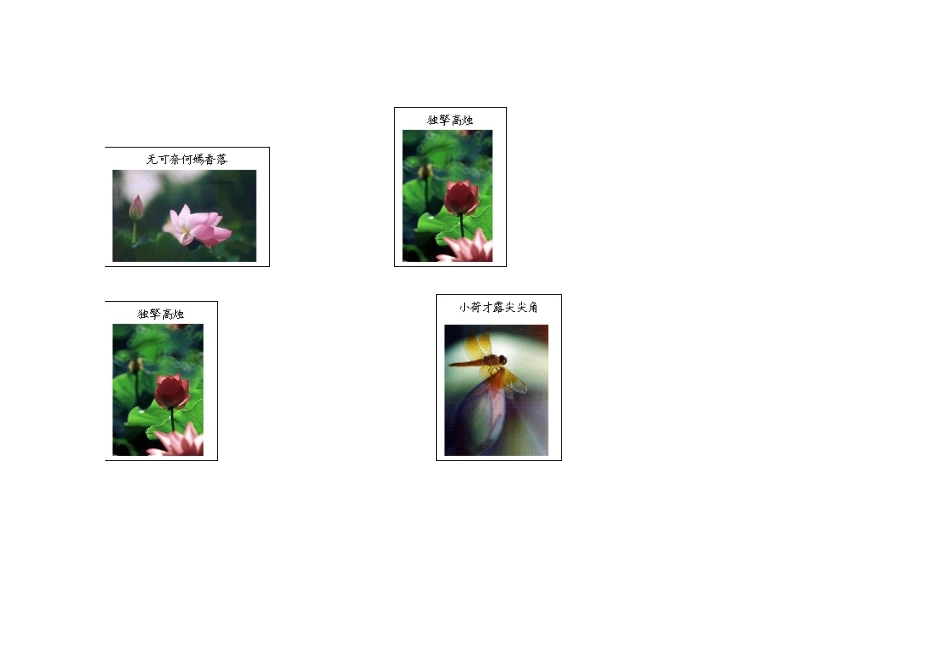 山东省滕州市大坞镇大坞中学七年级语文下册《思爱莲说》教学设计 北师大版教材_第3页