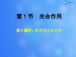 七年级生物上册 第5章 第1节 光合作用课件5 北师大版教材