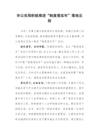 市公安局积极推进“制度落实年”落地见效