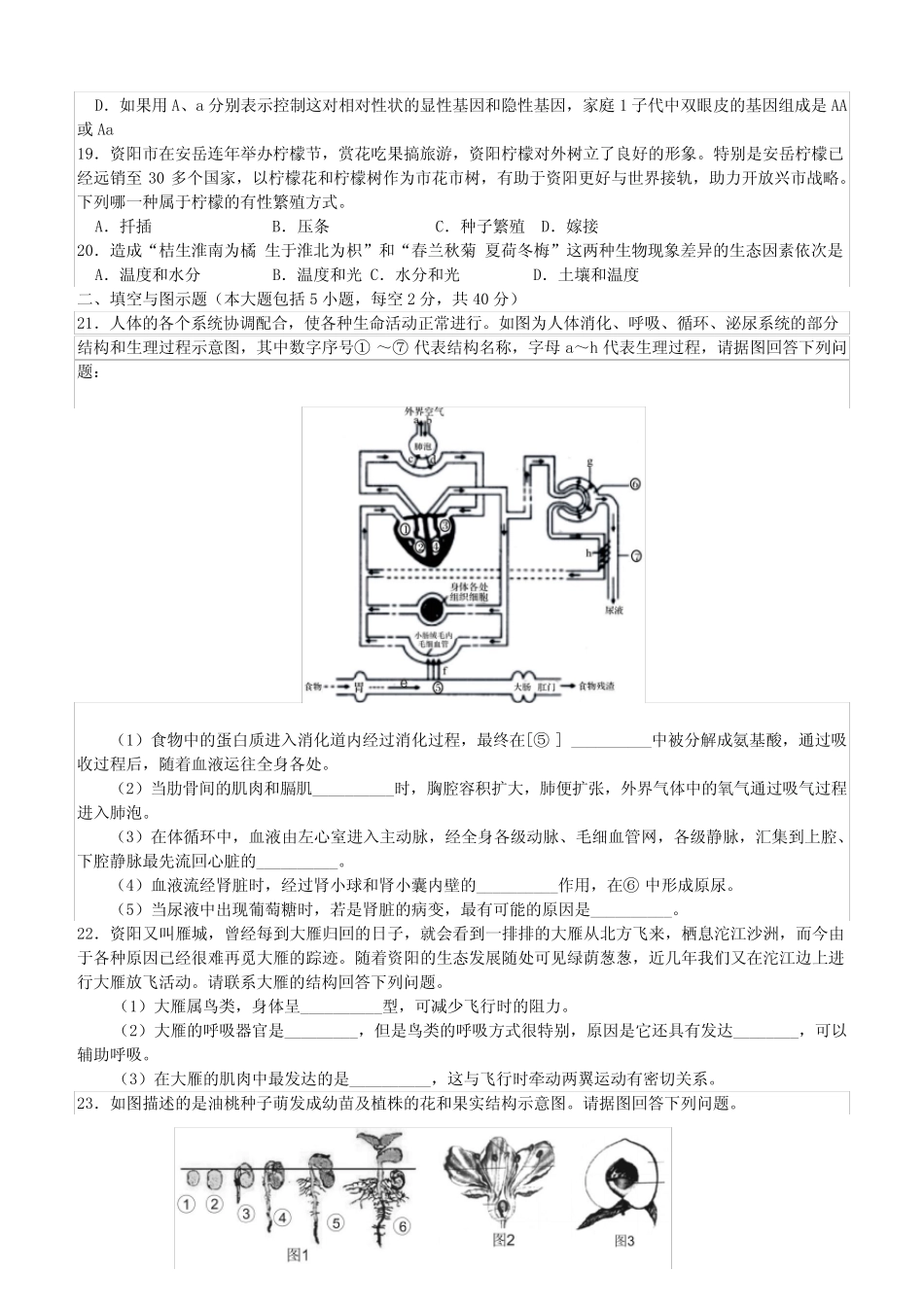 2020年四川省资阳市中考生物试题(含解析) _第3页