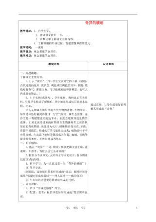 五年级语文上册 奇异的琥珀 3教案 沪教版