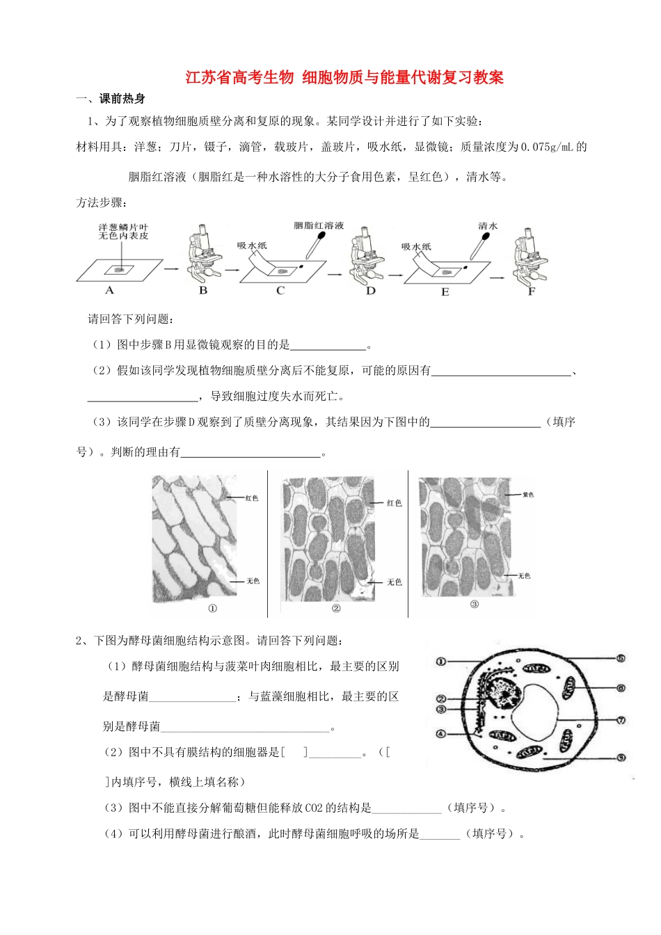 江苏省高考生物 细胞物质与能量代谢复习教案_第1页