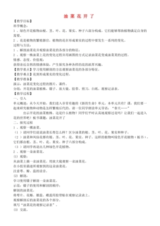 四年级自然与科学下册 油菜花开了教案 教科版