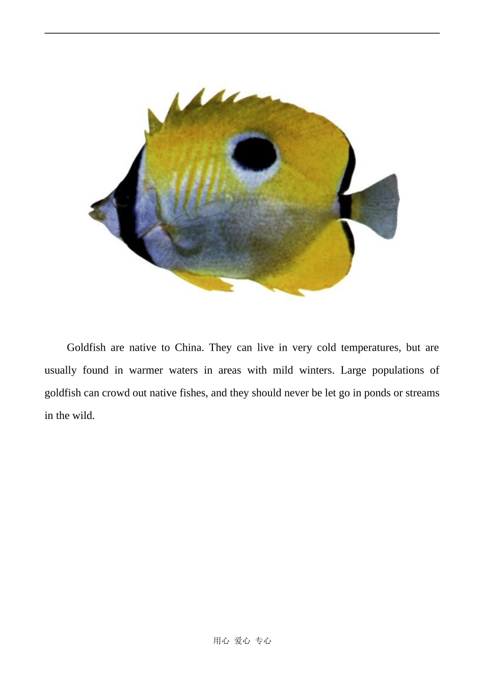 高中英语Unit14 Zoology文章 fishes人教版第三册_第2页
