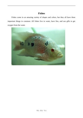 高中英语Unit14 Zoology文章 fishes人教版第三册