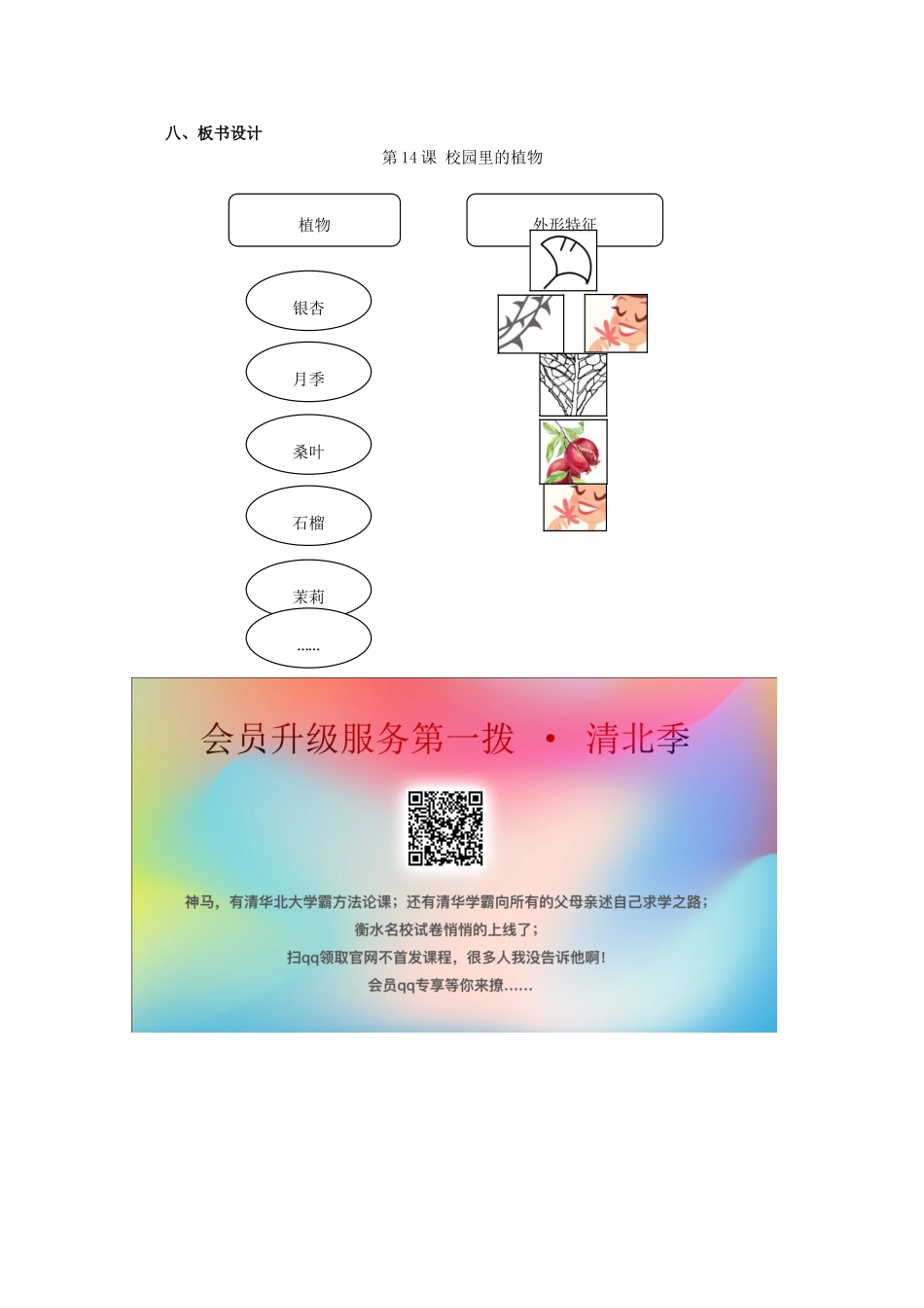 一年级科学下册 第4单元 校园里的生物 14 校园里的植物教案 （新版）粤教版-（新版）粤教版小学一年级下册自然科学教案_第3页