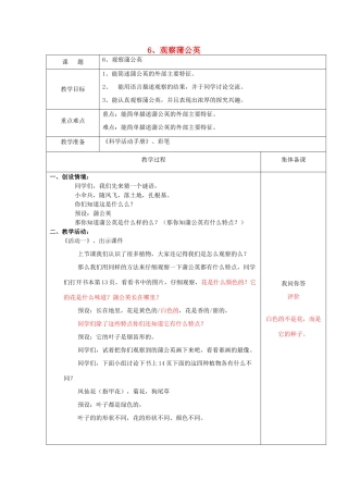一年级科学上册 第6课 观察蒲公英教案 冀教版-冀教版小学一年级上册自然科学教案