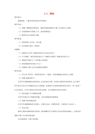 一年级科学上册 第二单元 认识小动物 3《蚂蚁》教案 大象版-大象版小学一年级上册自然科学教案