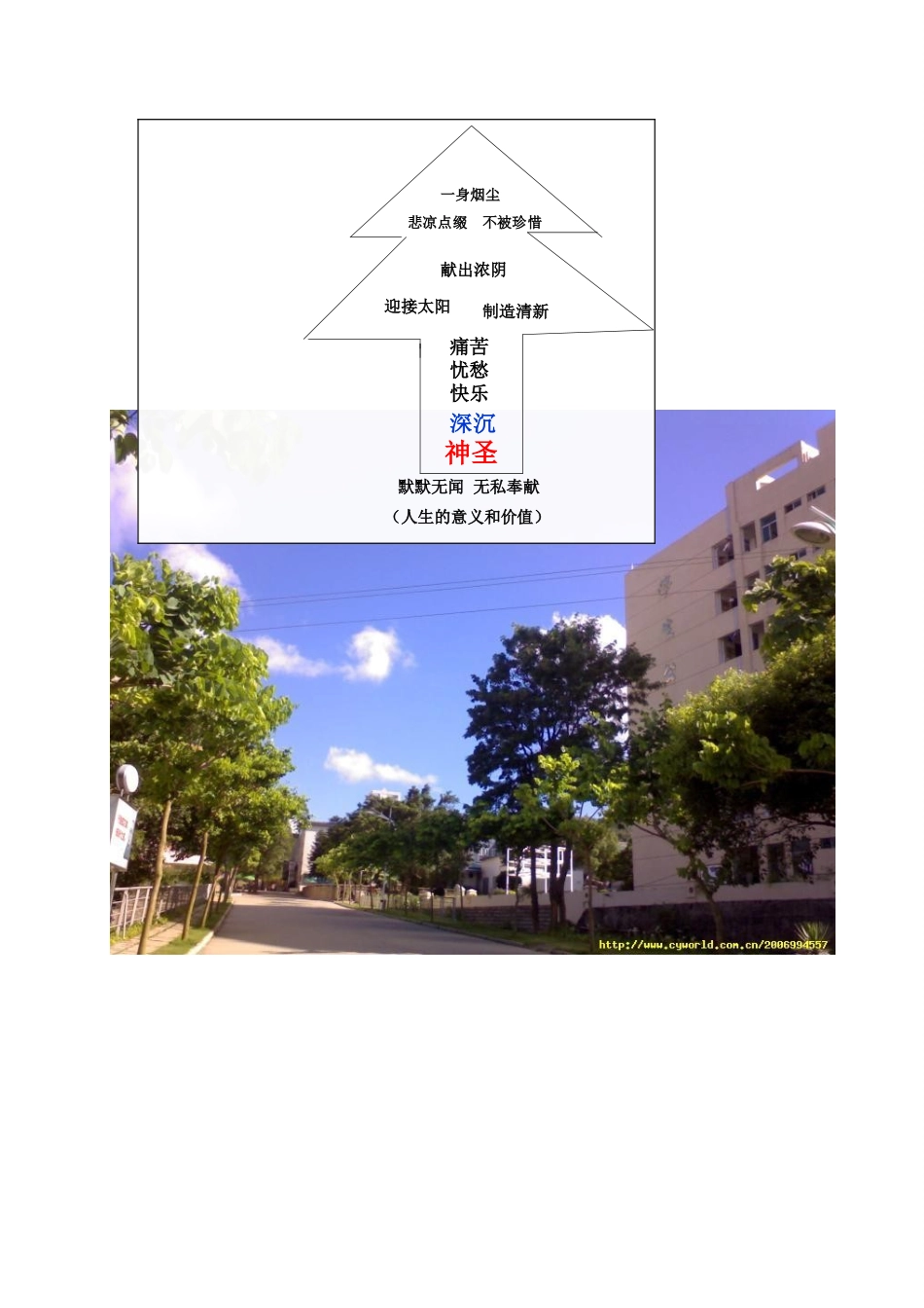 七年级语文上册 《行道树》说课稿  人教新课标版教材_第3页